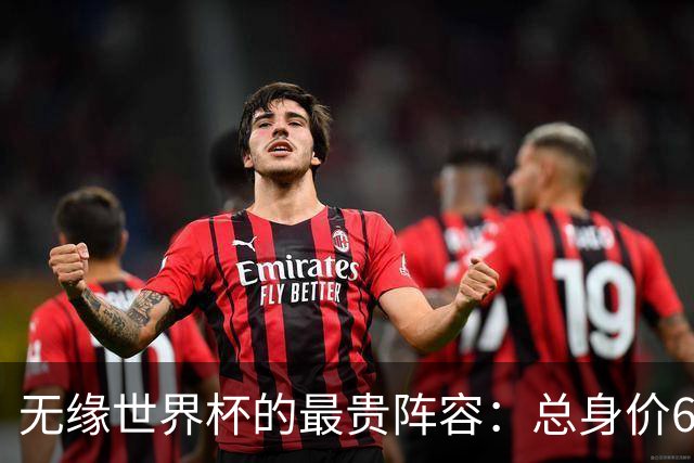 无缘世界杯的最贵阵容：总身价6.7亿 意大利5人